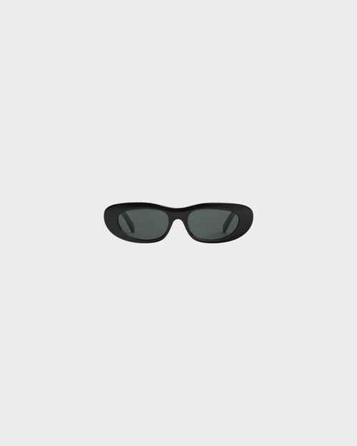 CELINE Cat Eye S310 sunglasses Acetate(3 Colors)