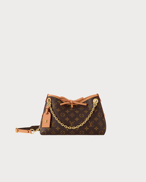 LOUIS VUITTON M13014 CarryAll Bag Monogram Coated Canvas(BB/Brown Monogram)