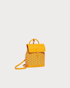 GOYARD Alpin Mini Backpack | 戈雅 背囊 (多色)