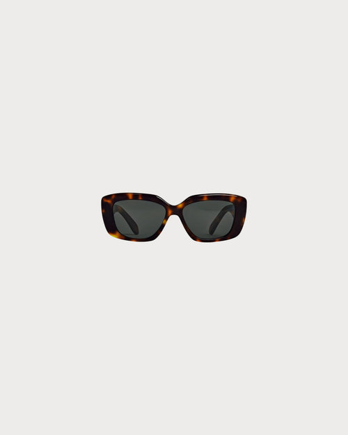 CELINE Triomphe 04 sunglasses Acetate(Many)