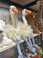 JELLYCAT Evelyn Swan | Swan Doll (White)