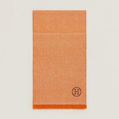 HERMES Nuit d'Ete Scarf | Hermès Men's Scarf (Multicolor)