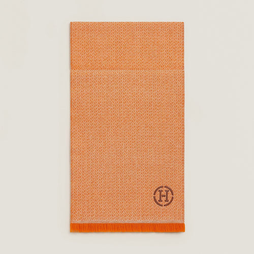 HERMES Nuit d'Ete Scarf | Hermès Men's Scarf (Multicolor)