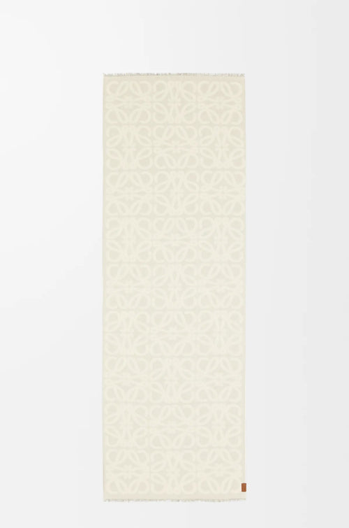 LOEWE Scarf in wool and silk | Loewe scarf (multicolor)