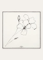 LORO PIANA La Linea Del Fiore Di Lino Foulard | 諾悠翩雅 絲巾 (黑白色) - LondonKelly 英國名牌代購