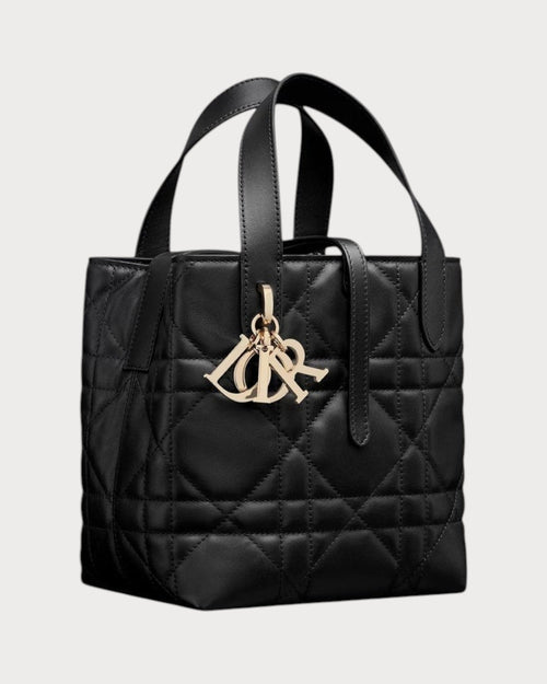 CHRISTIAN DIOR Dior Toujours Vertical Tote Bag Calfskin(Small/Many)