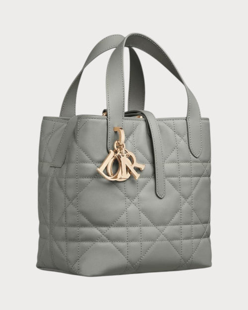 CHRISTIAN DIOR Dior Toujours Vertical Tote Bag Calfskin(Small/Many)